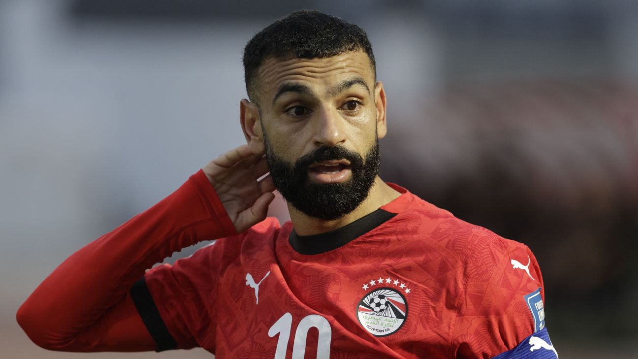 FIFA要求埃及世界杯球衣删去七颗星 并调整号码颜色